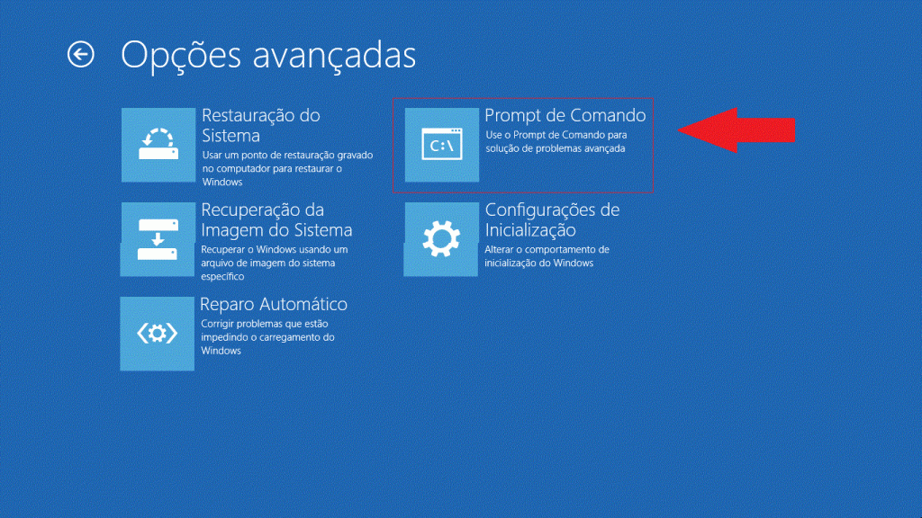 WINDOWS OPCOES